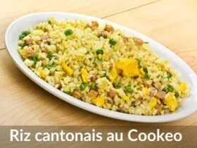 riz cantonais au cookeo